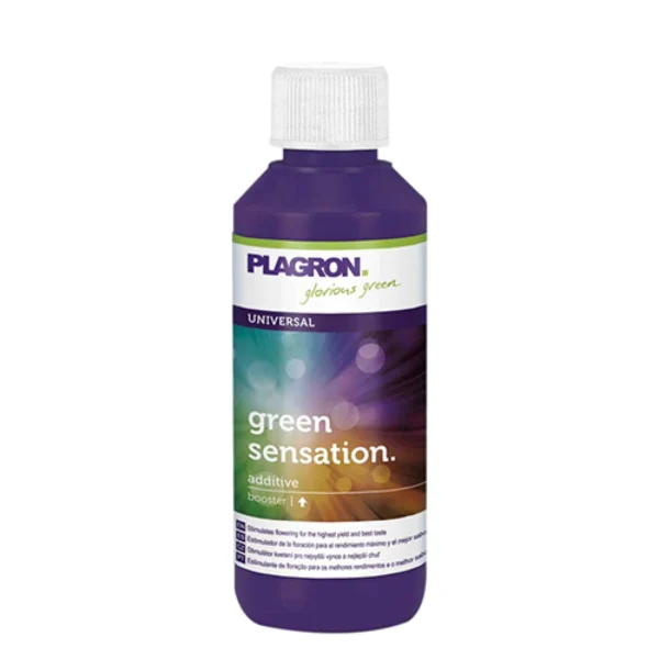 green-sensation-plagron-100ml