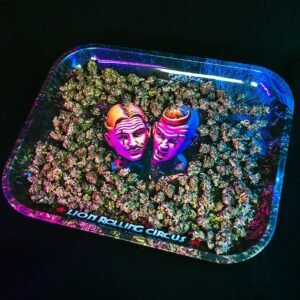 Bandeja Grande - Lion Rolling Circus