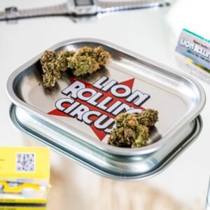 Bandeja Metálica Pequeña - Lion Rolling Circus